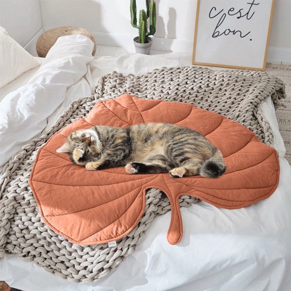 couverture pour enfants et animaux