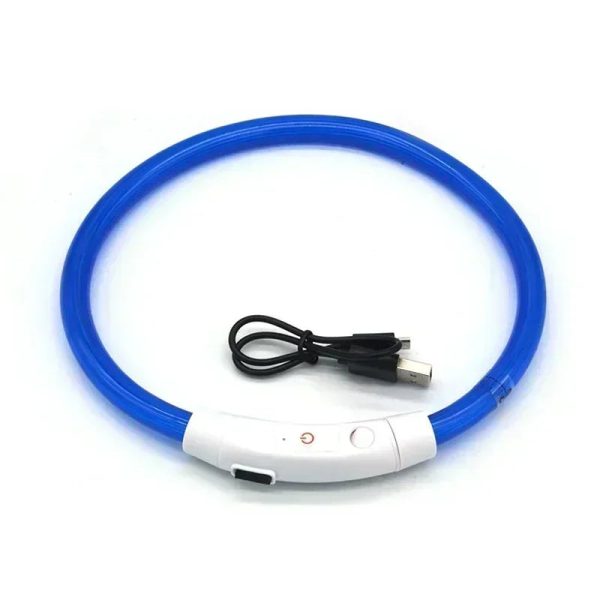 Collier lumineux chien